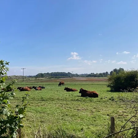 Bades Huk Haus 10 40 - Og Lejlighed Hohen Wieschendorf